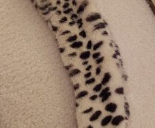 Ladies vintage leopard neck collar