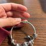 Pandora Harry Potter charms and bangles Image 8