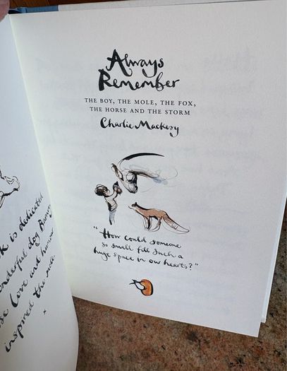BRWND NEW - Childrens hardback books (2)