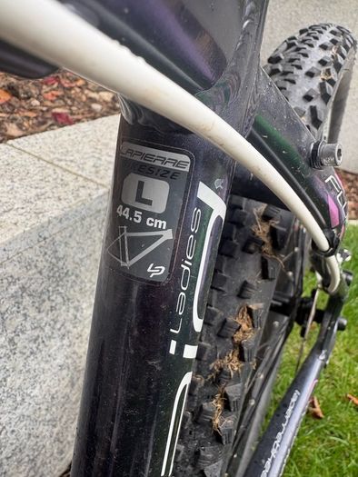 Women's Mountain Bike