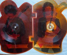 Rare and collectible Gary Moore and Phil Lynott special 2 in 1 shaped picture disc. Out in the fields and military man. Bought this new back in the day. Records were never played but picture disc discoloured over time as all versions did. Still highly col