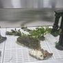 Fish Tank for sale Image 4