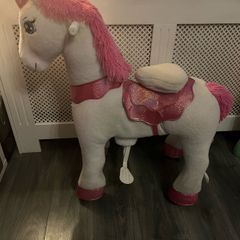 Ponycycle