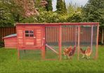 4-6 Birds Pentland Long Run,Free Delivery