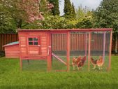 4-6 Birds Pentland Long Run,Free Delivery