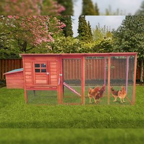 4-6 Birds Pentland Long Run,Free Delivery