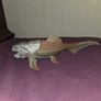 Schleich Dunkleosteus -Prehistoric Fish Image 3