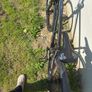 bike Image 8