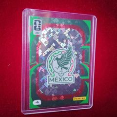 Mexico World Cup Panini country crest card