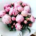 peony7
