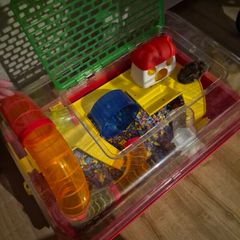 Hamster with cage and accessories