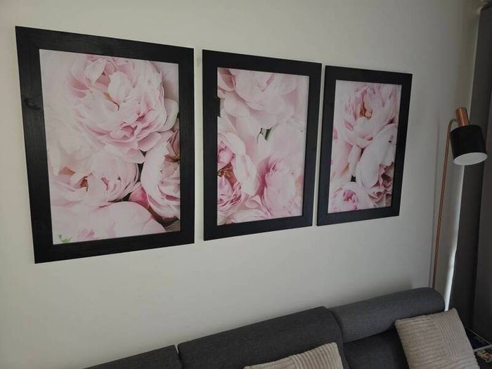 3 pictures framed