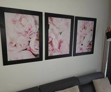 3 pictures framed