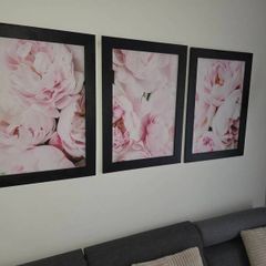 3 pictures framed