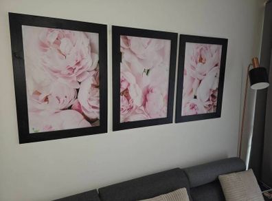 3 pictures framed