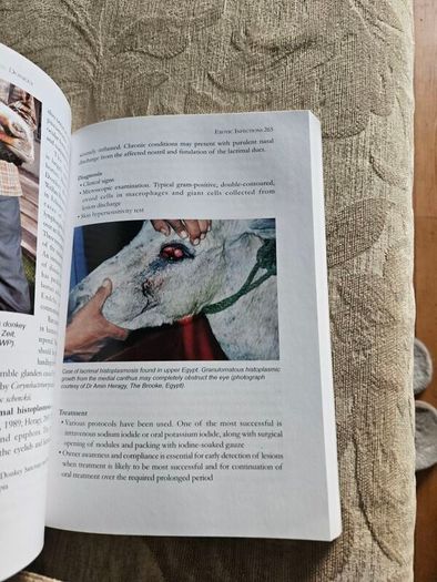The Professional Handbook Of The Donkey. 4th Edition.  By Dr Elizabeth D. Svendsen. Edited By Professor James Duncan. In Good Condition.  See Photos For Same.