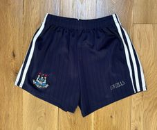 Boys Dublin GAA Shorts