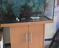 Juwel 120L fish tank