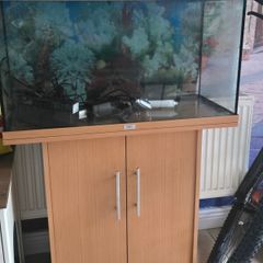Juwel 120L fish tank