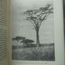 Simba Afrikaans book Image 10