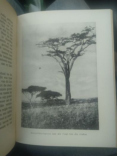 Simba Afrikaans book