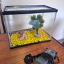 Fish tank Image 2