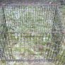 Dog / Animal Crate 75cm x 61cm x52cm Image 6