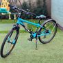 Team Sky Frog 62 kids bike Image 2