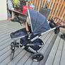 buggy Image 3