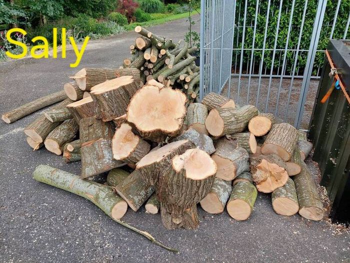 Firewood