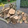 Firewood Image 6