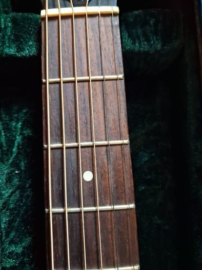 Guild D20 E Acoustic Guitar