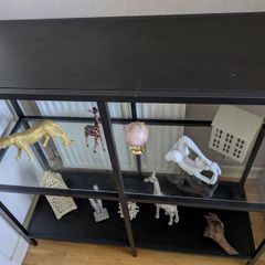 display unit