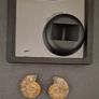 Fossilized prehistoric ammonites ,With display box. Image 3