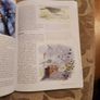 Garden Bird Behaviour. Robert Burton. How To Recognise And Everyday Bird Activities. First Edition Large Volume Paperback In Good Condition. Image 6