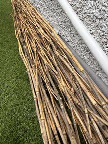 Bundle of natural bamboo garden canes