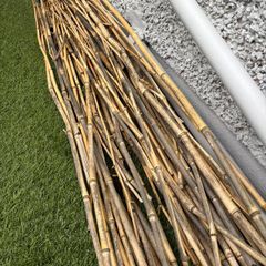Bundle of natural bamboo garden canes