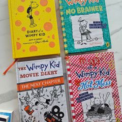 Diary Of A Wimpy Kid No Brainer Hot Mess Movie Diary