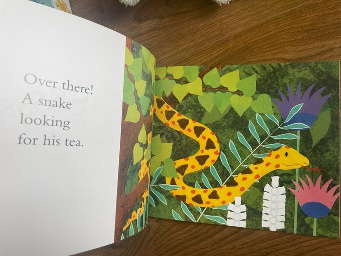 Book Walking Through the Jungle