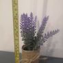 Fake plant Image 2