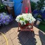 Hanging basket Image 8
