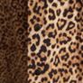 Ladies blouse Image 3