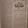 The Complete Chronicles of Narnia - CS Lewis [hardback] Image 4
