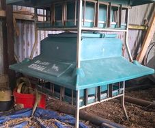 Lamb creep feeder