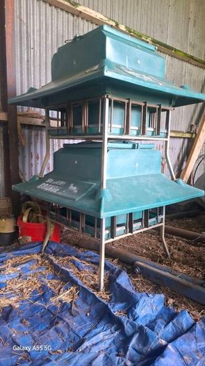 Lamb creep feeder
