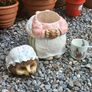 Beatrix Potter 'Mrs Tiggy-Winkle' Cookie Jar Image 4