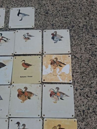 37 X Mid Century Avian Metal Display Plaques