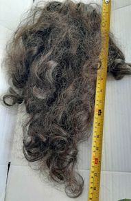 hair clip in pony tail