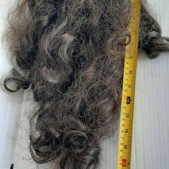 hair clip in pony tail