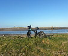 Fiido M1 Pro Electric Folding Bike